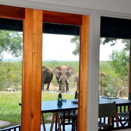 Tingala Lodge - Bed In The Bush Phalaborwa Exterior foto