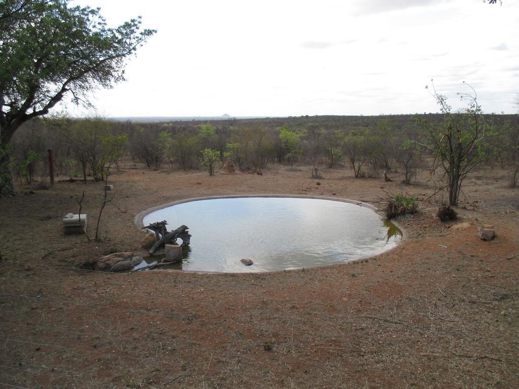 Tingala Lodge - Bed In The Bush Phalaborwa Exterior foto