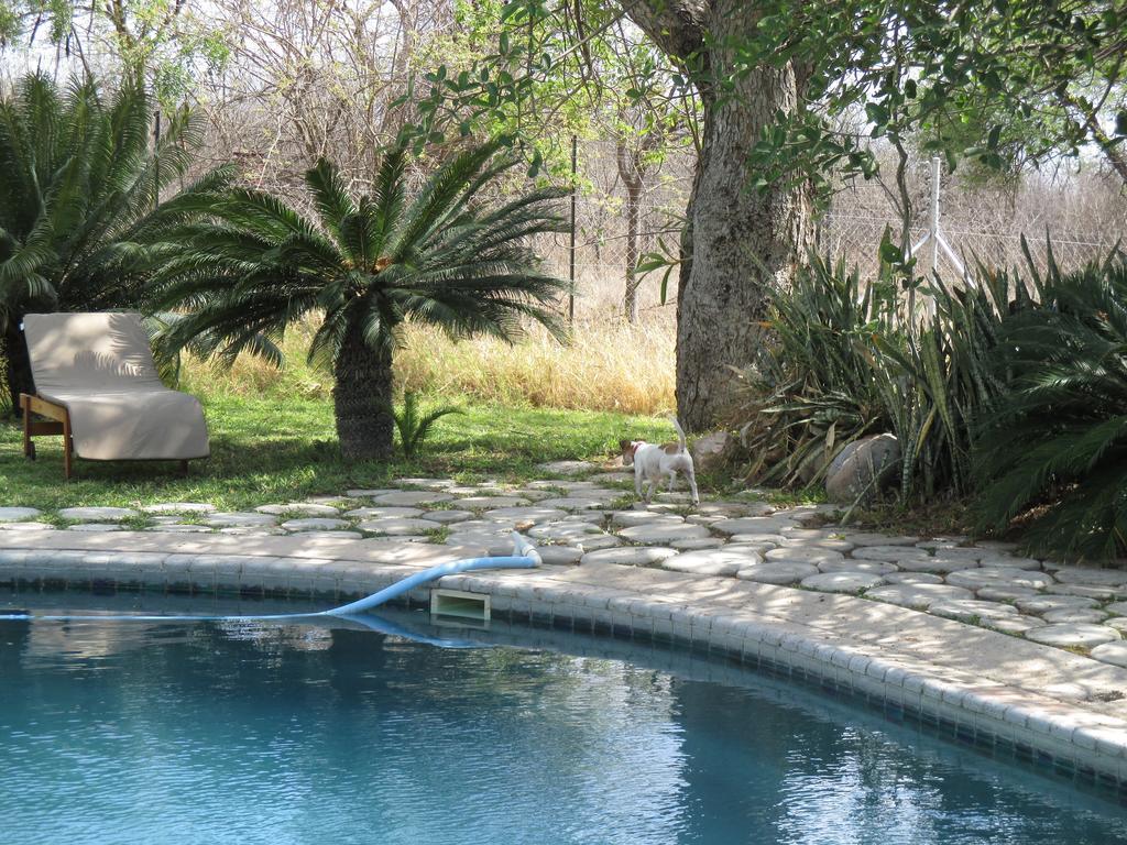 Tingala Lodge - Bed In The Bush Phalaborwa Exterior foto
