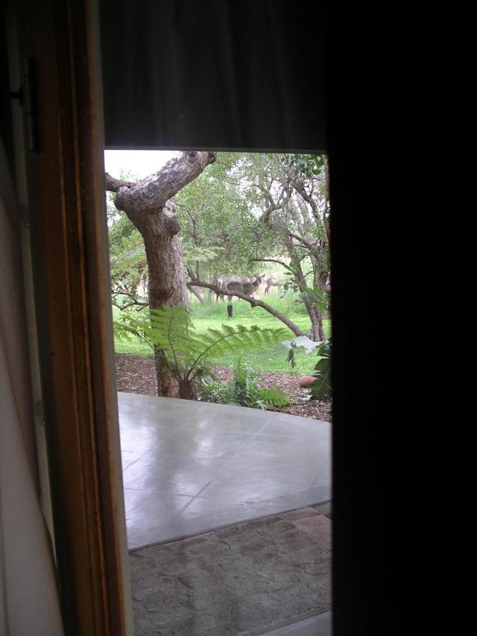 Tingala Lodge - Bed In The Bush Phalaborwa Exterior foto